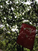 Open air restaurant - tea time - Spice Bazaar