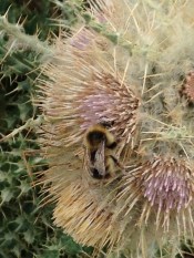 File Aug 30, 20 03 48