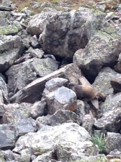 File Aug 30, 20 56 38