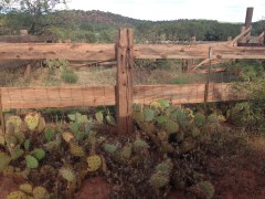 File Jul 21, 12 34 57