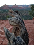 File Jul 21, 12 44 07