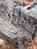 File Jul 21, 12 59 51