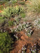 File Jul 21, 14 27 28