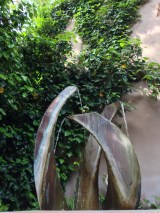 File Jul 21, 14 31 08