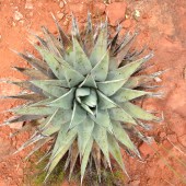 File Jul 21, 14 46 53