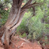 File Jul 21, 14 47 58